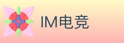 IM电竞 logo